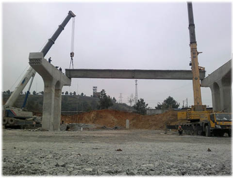 �P(gu��n)���҂�